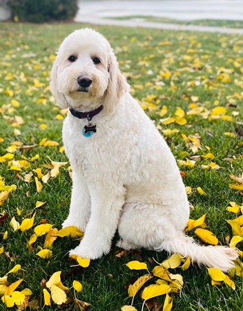 Frida